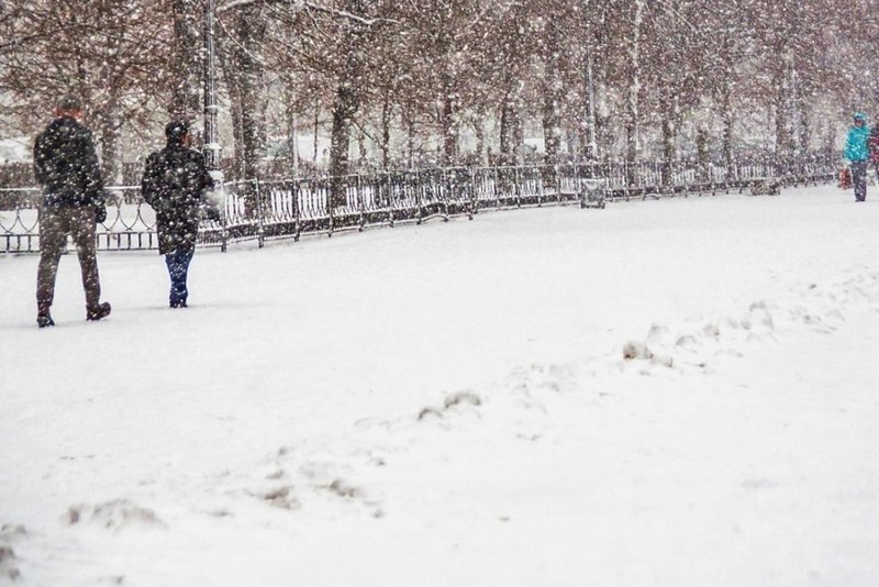 Зима + человек в куртке + СНГ + метель. Фото первый снег в цветочном парке в парке. Network Snow. В россии выпадет снег